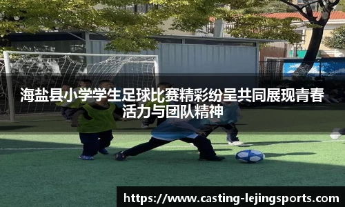 乐竟体育
