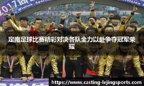 定南足球比赛精彩对决各队全力以赴争夺冠军荣耀