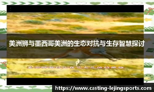 乐竞体育